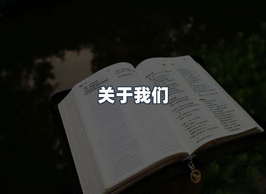 专业团队